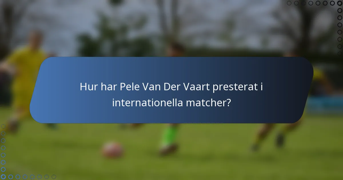 Hur har Pele Van Der Vaart presterat i internationella matcher?